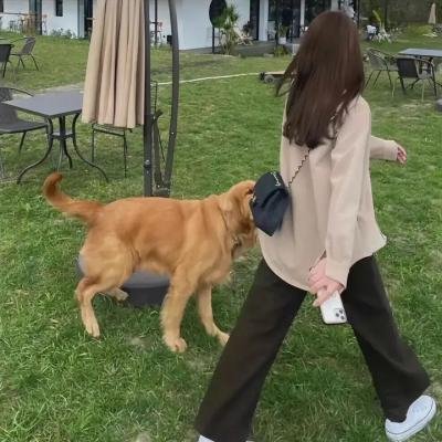投靠女与出走男在线观看封面